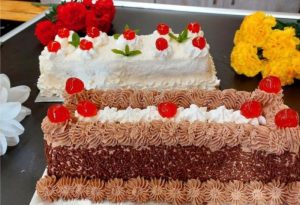 Chocolate and coconut cake recipe