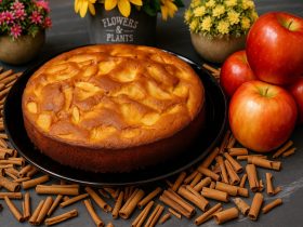 Μηλόπιτα χωρίς ζάχαρη σε πιάτο - No Sugar Apple Cake in a plate