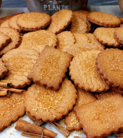 Κουλουράκια Κανέλας - Cinnamon Cookies