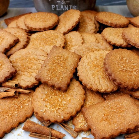 Κουλουράκια Κανέλας - Cinnamon Cookies