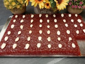 Κυδωνόπαστο - Quince Paste