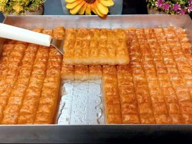 ฮฮทฯฯฮฏฯฮนฮผฮฑ ฮบฮฟฯ
ฯฮบฮฟฯ
ฮผฯฮฏฮฝฮนฮฑ ฯฯฮฟ ฯฮฑฯฮฏ