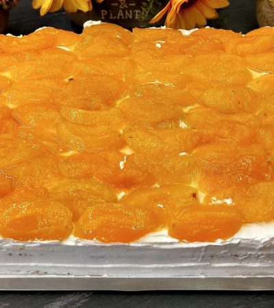 Γλυκό ψυγείου με βερίκοκα και μπισκότα - Apricot Icebox Cake