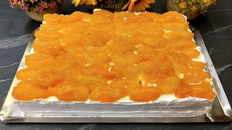 Γλυκό ψυγείου με βερίκοκα και μπισκότα - Apricot Icebox Cake