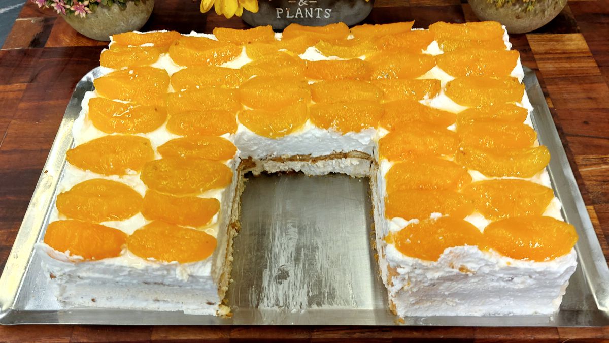 Γλυκό ψυγείου με βερίκοκα και μπισκότα - Apricot Icebox Cake