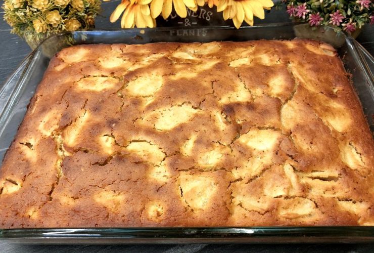 Μηλόπιτα Νηστίσιμη - Vegan Apple Cake