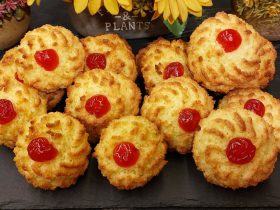 Καρύδες με κεράσι - Greek Coconut Macaroons with Cherries